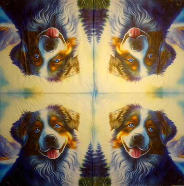 338 Dogs - 3-ply - Specials